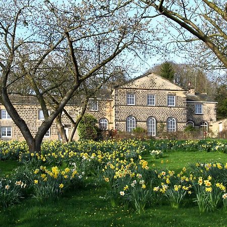 Harewood Estate Cottages Buitenkant foto