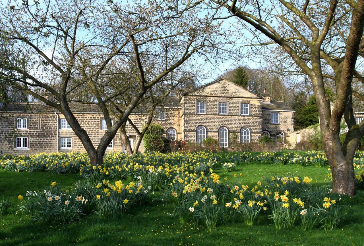 Harewood Estate Cottages Buitenkant foto