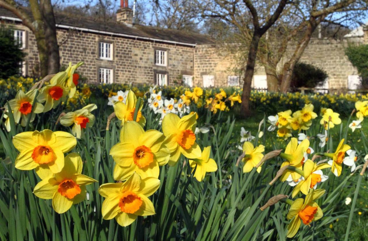 Harewood Estate Cottages Buitenkant foto