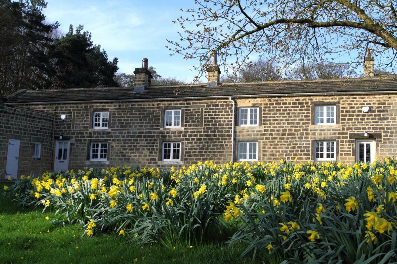 Harewood Estate Cottages Buitenkant foto