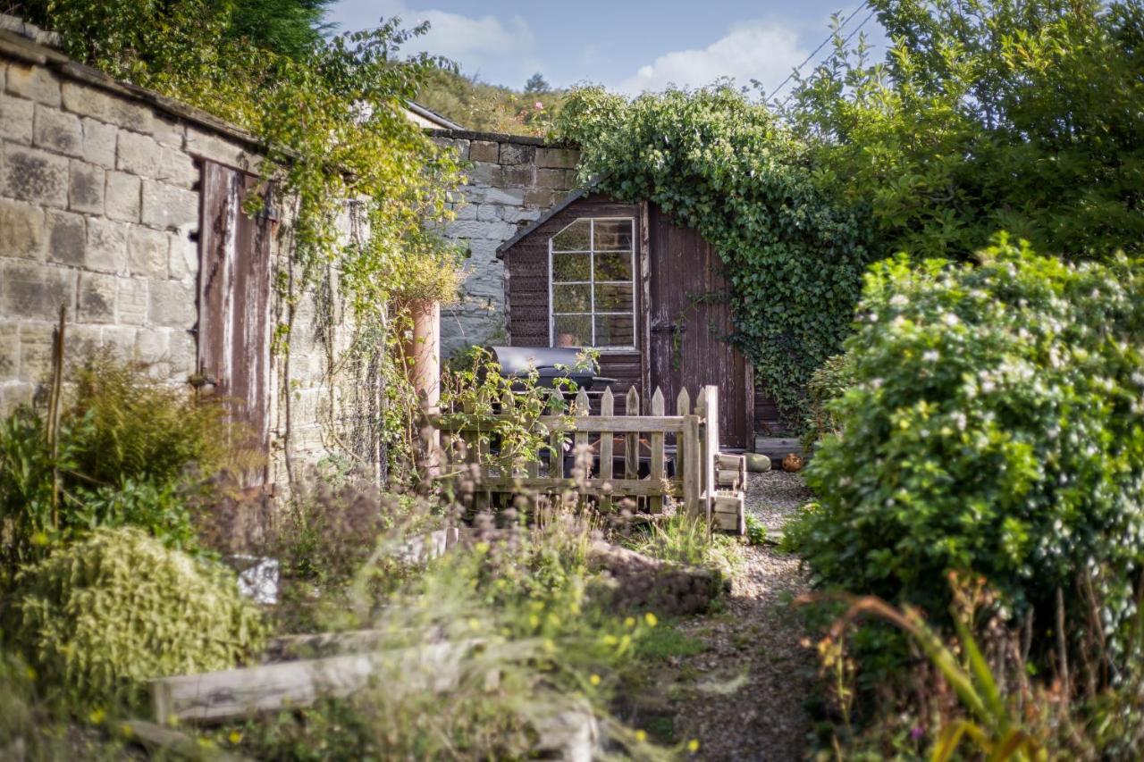 Harewood Estate Cottages Buitenkant foto